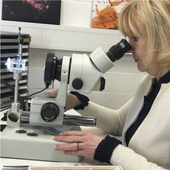 Johanna microscope01
